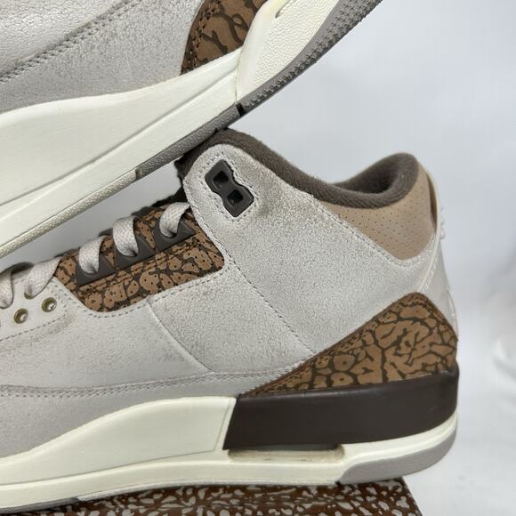 Nike Air Jordan 3 Retro “Palomino/Brown White” 2023 main image 10